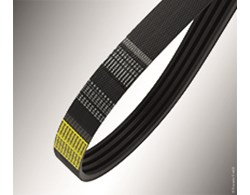 Kraftband SPZ 2-rippig Strongbelt
